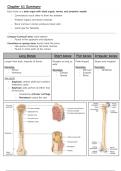 Chapter 4 - The Skeletal System Guides