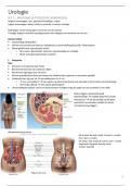 Samenvatting -  Abdomen 1 partim urologie en gynaecologie