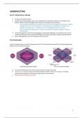 Samenvatting Best practice - ITIL® 4 – Pocketguide -  Itil 4 Foundation