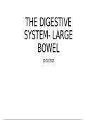 The digetive system of large bowel