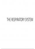 Respiratory system