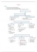 Formularium + definities Management Accounting  Annelies Kempinck