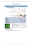 Samenvatting - Virologie - Algemene microbiologie - 2022-2023