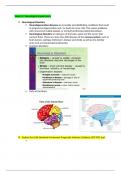 Week 12 Learning Outcomes