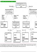 Voordeelbundel Basis Wiskunde (handig voor iedereen)