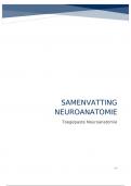 Samenvatting Neuroanatomie