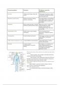 Psychology Notes Bundle for chapter 3 (Neurons and Neurotransmitters)