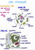 Eukaryotic Cell Structure Diagram
