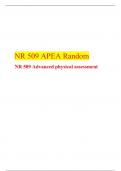 NR 509 APEA Random, NR 509 Advanced physical assessment, Chamberlain.