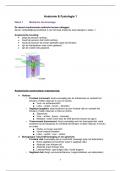 Anatomie & Fysiologie deel 1