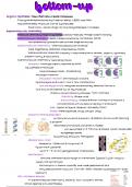 Lecture 2 notes  Nanomaterials: chemistry and fabrication (6E12X0)  Supramolecular Chemistry