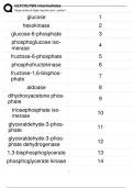 Glycolysis