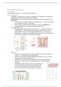 Samenvatting neurofysiologie H8