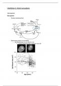 Kinesitherapie bij ouderen - Hoofdstuk 2: Actief verouderen (theorie)