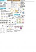 Microbiology chapter summaries