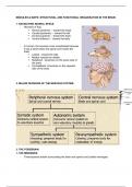 MODULES & MAPS: STRUCTURAL AND FUNCTIONAL ORGANISATION IN THE BRAIN NOTES UPDATED 2023|2024