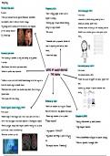 Mind maps for AQA Psychology A level Biopsychology