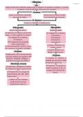 Resumen y Mapa Conceptual de Vitaminas, Sales Minerales y Agua.