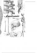 Alle tekeningen van anatomie