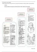 ANSWERS ECD NQF 4 Us 244468 Prepare Resources And Set Up The Environment To Support The Development Of Babies, Toddlers And Young Children