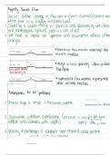 Open Channel Flow Summary for Rapidly Varied Flow Part 1