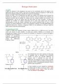 Cours Biologie Moléculaire