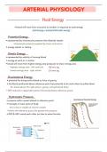 2.arterial physiology (vascular ultrasound)