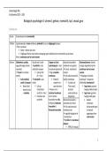 Schema Samenvatting -  Biologisch Psychologie II (BP2), gehoor/evenwicht/tast/smaak/geur 2022-2023 Kris Baetens