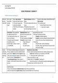 Schema Samenvatting -  Social Psychology II, Sociale Psychologie 2 2022-2023 Jasmine Vergauwe