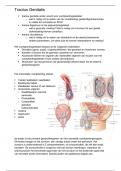 Module 1: Tractus Genitalis Zuyd Hogeschool