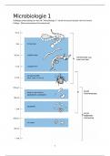 Samenvatting Microbiologie 1