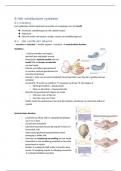 samenvatting neurofysiologie H6 