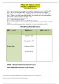 PROJ 420 Week 3 Course Project Assignment: Project Risk Breakdown Structure