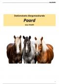 Uitgebreide uitwerking van stationstoets paard 