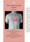 The Cardiovascular System The Heart