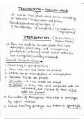 Pteridophytes- first vascular plants