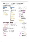 Exam 4  Flow Chart Review