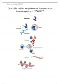 Overzicht van het aangeboren en het verworven immuunsysteem - GZW1022