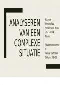 Leeruitkomst B: Presentatie analyseren van een complexe situatie