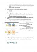 Biology Chapter 6 Notes- Introduction to Metabolism