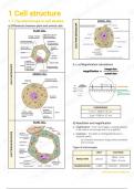  notes 9700 (bio) cell structure 