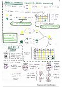 Resumen rápido tema 2 psicobiología