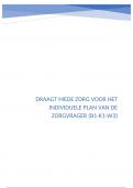 B-k1-w3 zorgplan opstellen 