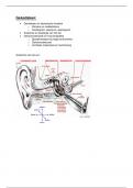 samenvatting geluidsleer