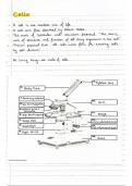 A* AQA A-level Biology 'Cells' Detailed Handwritten Notes 