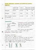 A* AQA A-Level Biology 'Genetic Information, variation and relationships between organisms' Detailed Handwritten Notes