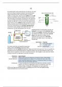 samenvatting HPLC & GC