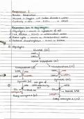 A* AQA A-Level Biology 'Energy transfers in and between organisms' detailed handwritten notes