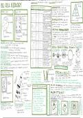 GCSE Combined Biology (B1) summary sheet