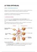 Histologie - Tissus épithéliaux
